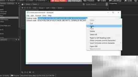ACDSee 2019专业版激活指南