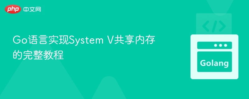 Go语言实现System V共享内存的完整教程
