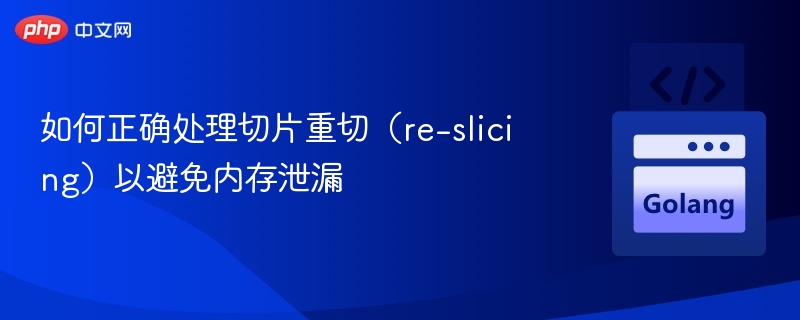 如何正确处理切片重切（re-slicing）以避免内存泄漏
