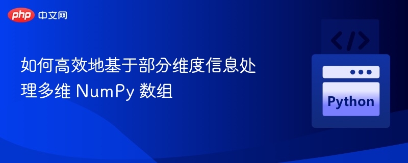 如何高效地基于部分维度信息处理多维 NumPy 数组

