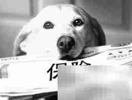 车险第三者保费多少？