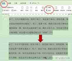 WPS文字如何进行繁体字转换