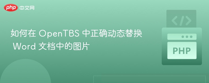 如何在 OpenTBS 中正确动态替换 Word 文档中的图片
