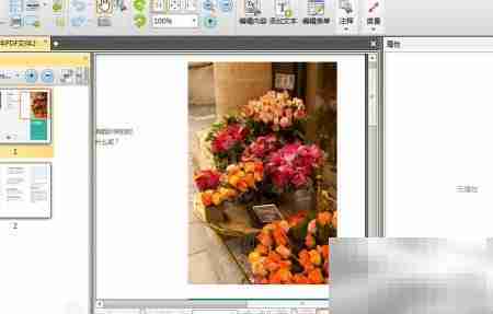 PDF与PNG互转神器