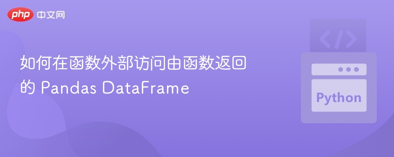 如何在函数外部访问由函数返回的 Pandas DataFrame
