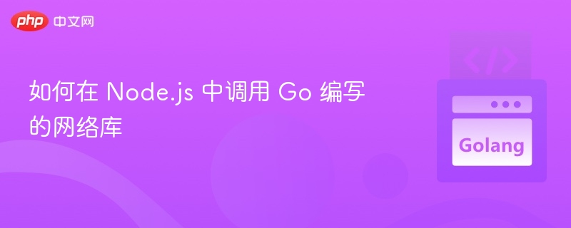 如何在 Node.js 中调用 Go 编写的网络库