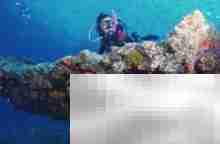 潜水常见问题速答