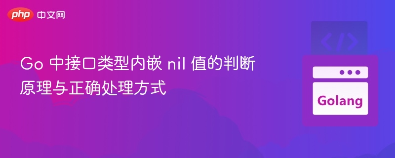 Go 中接口类型内嵌 nil 值的判断原理与正确处理方式
