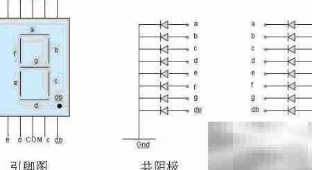 数码管使用方法详解