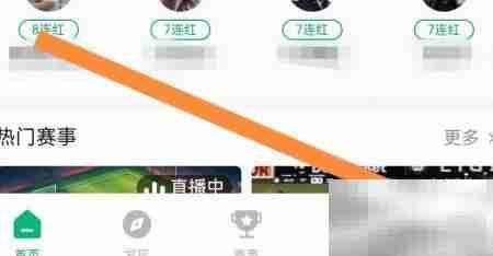 球博士专家认证流程解析