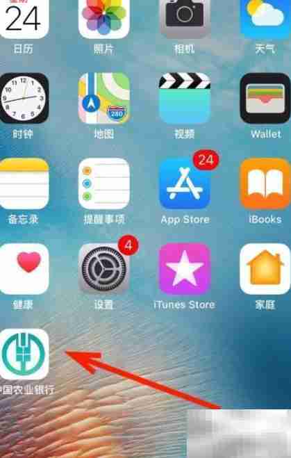 保险合同丢失如何退保