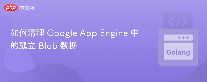 如何清理 Google App Engine 中的孤立 Blob 数据
