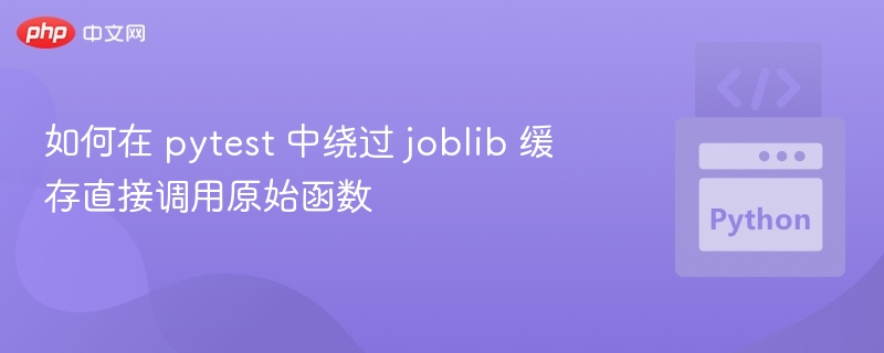 如何在 pytest 中绕过 joblib 缓存直接调用原始函数
