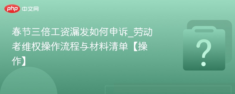 春节三倍工资漏发如何申诉_劳动者维权操作流程与材料清单【操作】