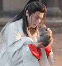 皓衣行原著小说叫什么