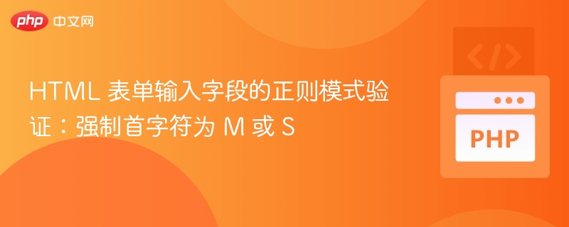HTML 表单输入字段的正则模式验证：强制首字符为 M 或 S
