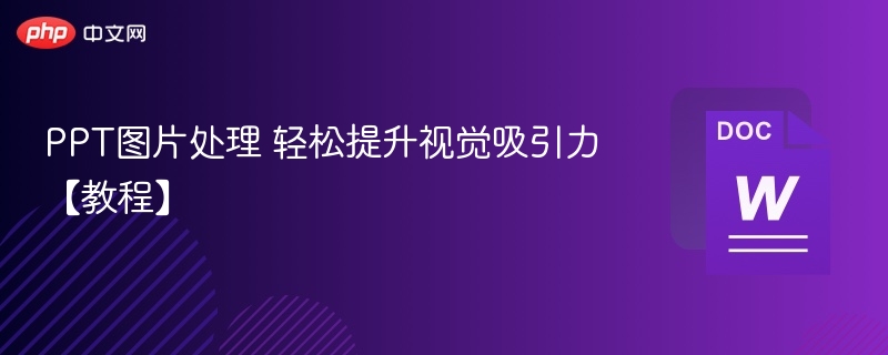 PPT图片处理 轻松提升视觉吸引力【教程】