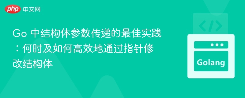 Go 中结构体参数传递的最佳实践:何时及如何高效地通过指针修改结构体