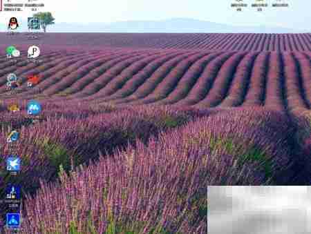 如何启动Windows生物识别服务