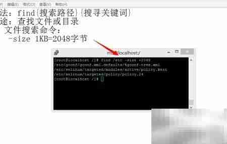 Linux find命令按大小查找文件