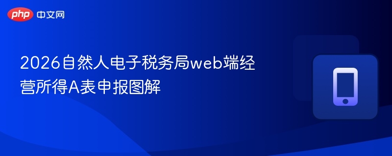 2026自然人电子税务局web端经营所得A表申报图解