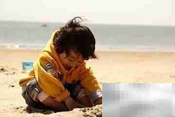 1立方沙子价格是多少