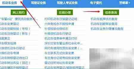 车辆年检查询系统使用指南