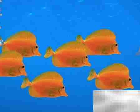 WinServer 2003启用Protected Storage