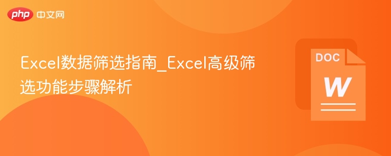 Excel数据筛选指南_Excel高级筛选功能步骤解析
