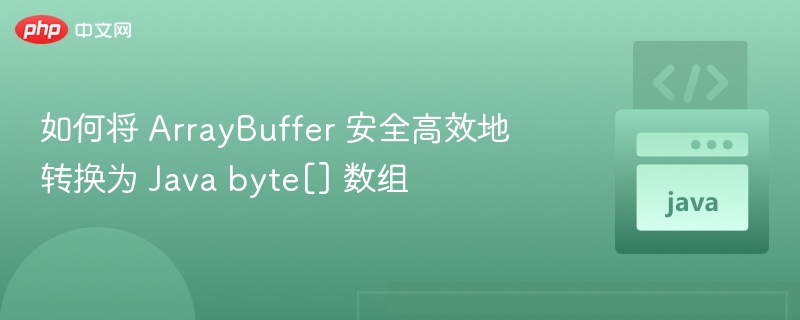 如何将 ArrayBuffer 安全高效地转换为 Java byte[] 数组

