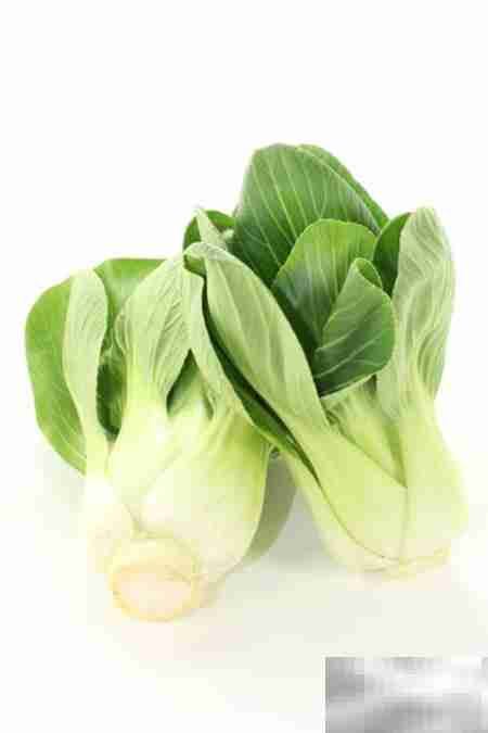 孕产妇可以吃小白菜吗