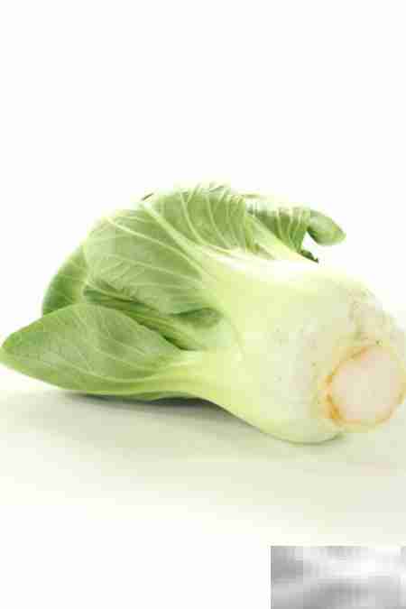 孕产妇可以吃小白菜吗