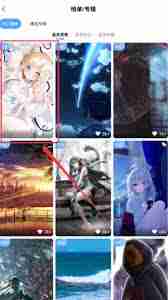 小鸟壁纸如何查看榜单