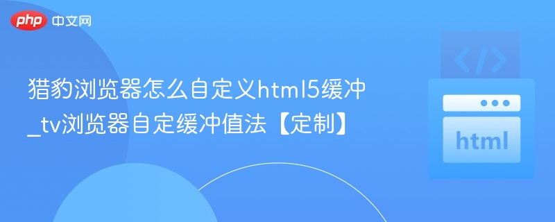 猎豹浏览器怎么自定义html5缓冲_tv浏览器自定缓冲值法【定制】