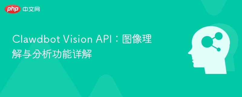 Clawdbot Vision API：图像理解与分析功能详解