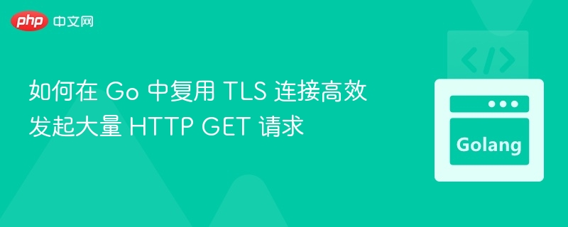 如何在 Go 中复用 TLS 连接高效发起大量 HTTP GET 请求