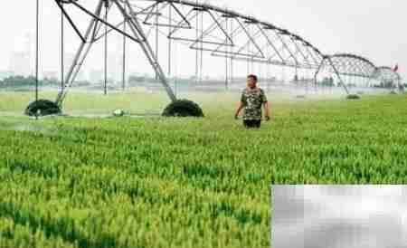 智能农业谁主导?