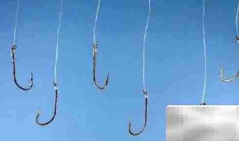 6.0子线直径有多粗？