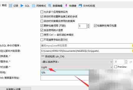HeidiSQL设置浅色主题教程