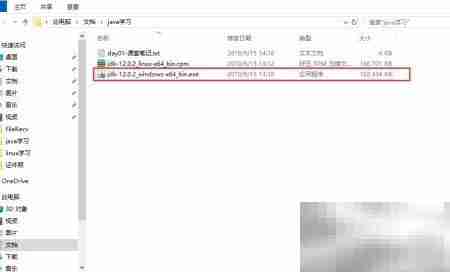 Win10安装JDK-12教程