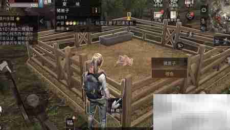 明日之后牲畜饲养指南