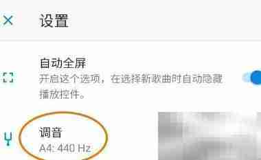 iReal Pro调音设置方法