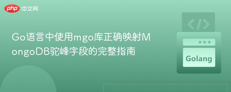 Go语言中使用mgo库正确映射MongoDB驼峰字段的完整指南
