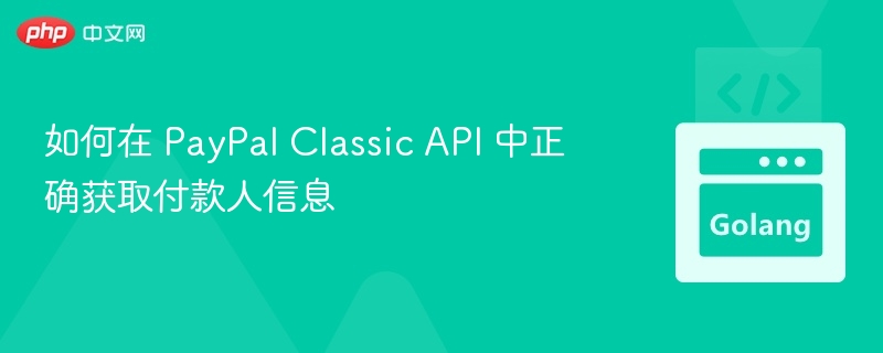 如何在 PayPal Classic API 中正确获取付款人信息
