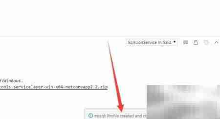 VS Code连接SQL Server指南