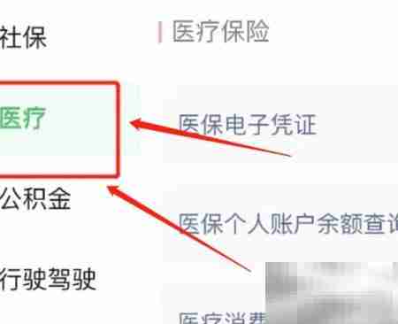 线上查询药品信息指南