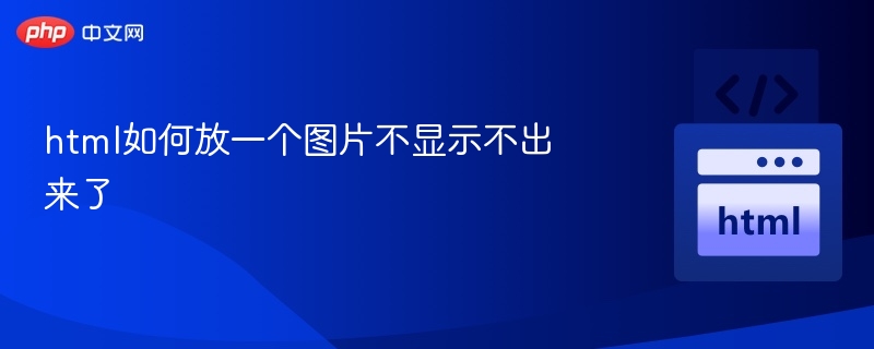 html如何放一个图片不显示不出来了