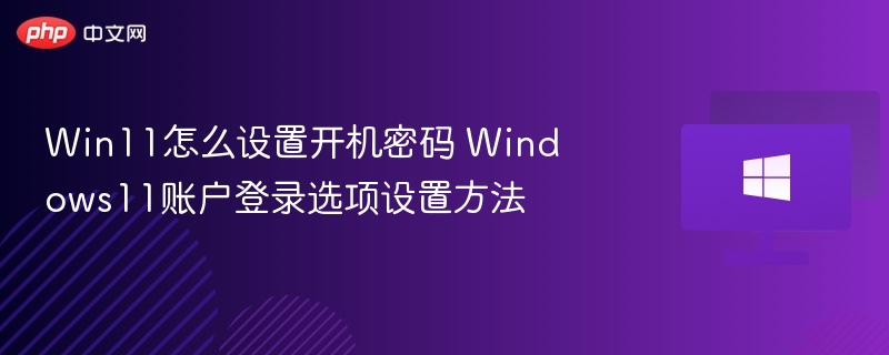 Win11怎么设置开机密码 Windows11账户登录选项设置方法
