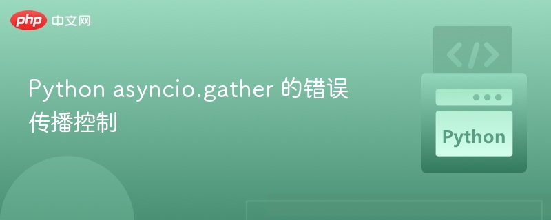 Python asyncio.gather 的错误传播控制