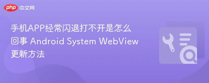 手机APP经常闪退打不开是怎么回事 Android System WebView更新方法